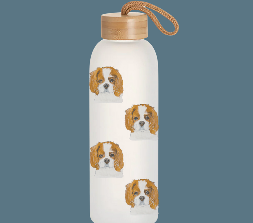 Stay Pawsitive: Royal Cavalier Frosted Glass Water Bottle