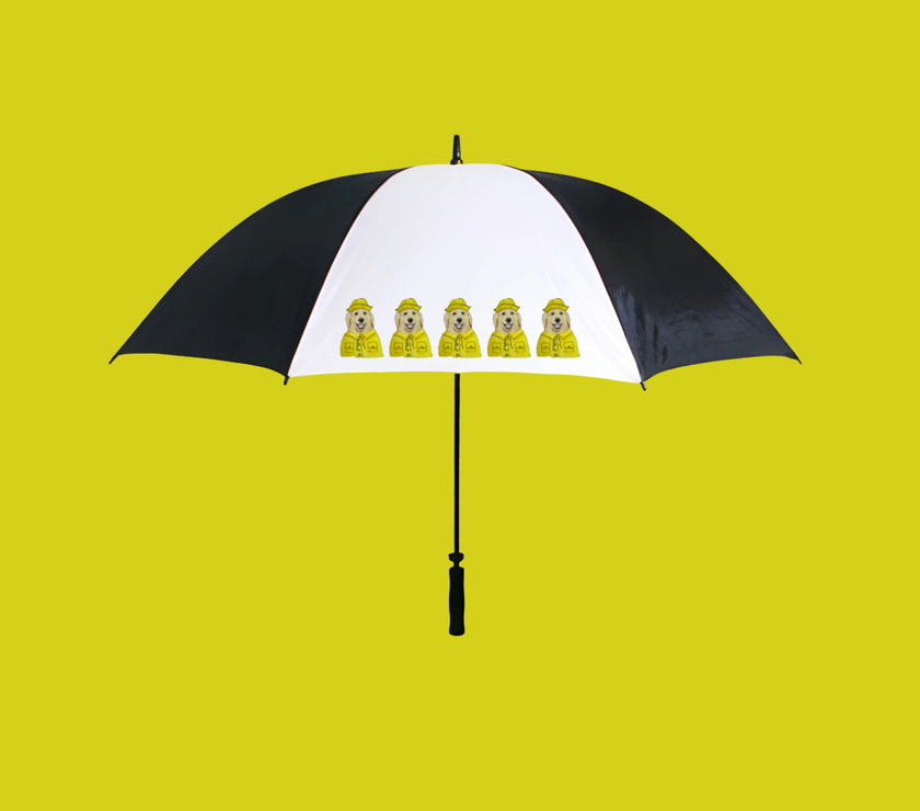 Stay Dry, Stay Golden – The Ultimate Retriever Umbrella