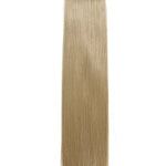 Sandy Blonde