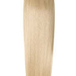 Bellevue Blonde