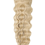 Bellevue Blonde