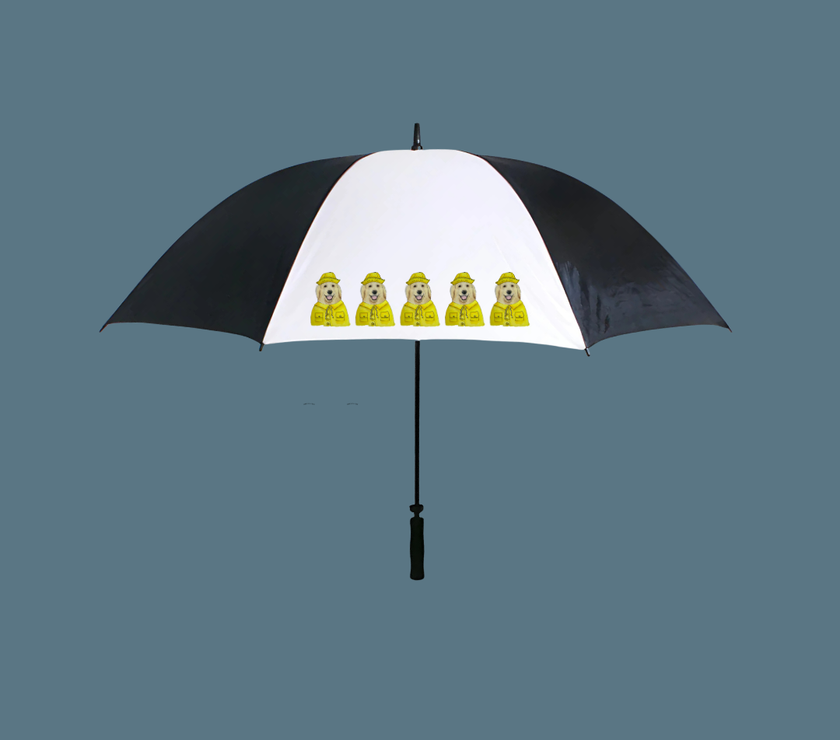 Stay Dry, Stay Golden – The Ultimate Retriever Umbrella