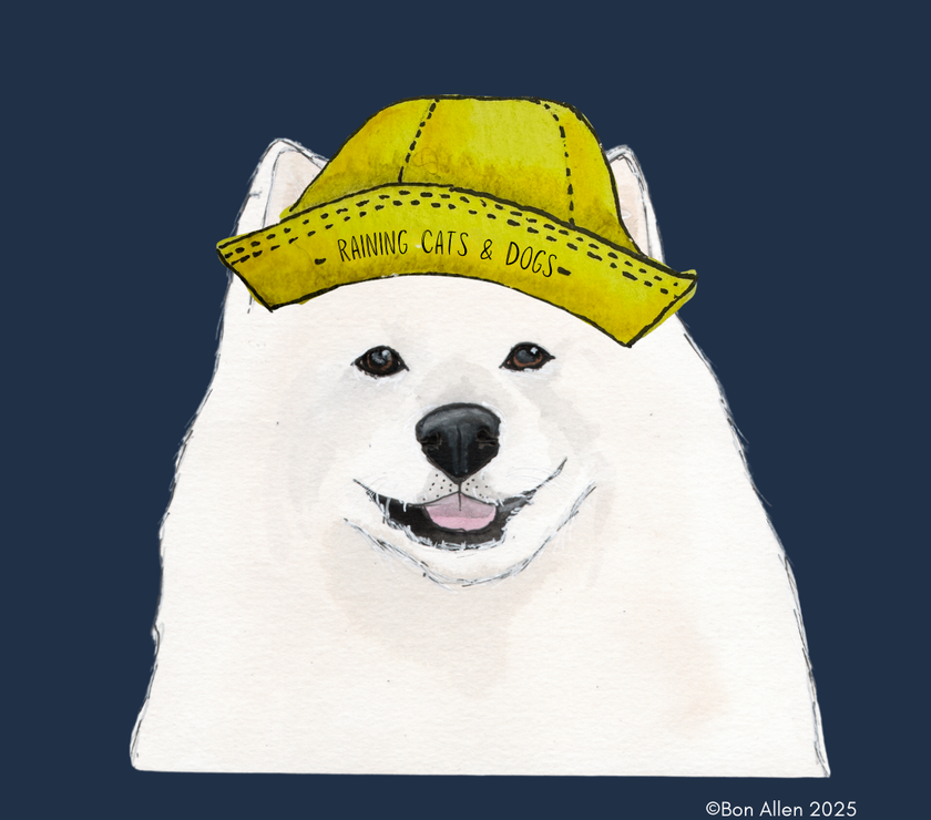 Rain or Shine, I'm Fine – Samoyed Umbrella Vibes