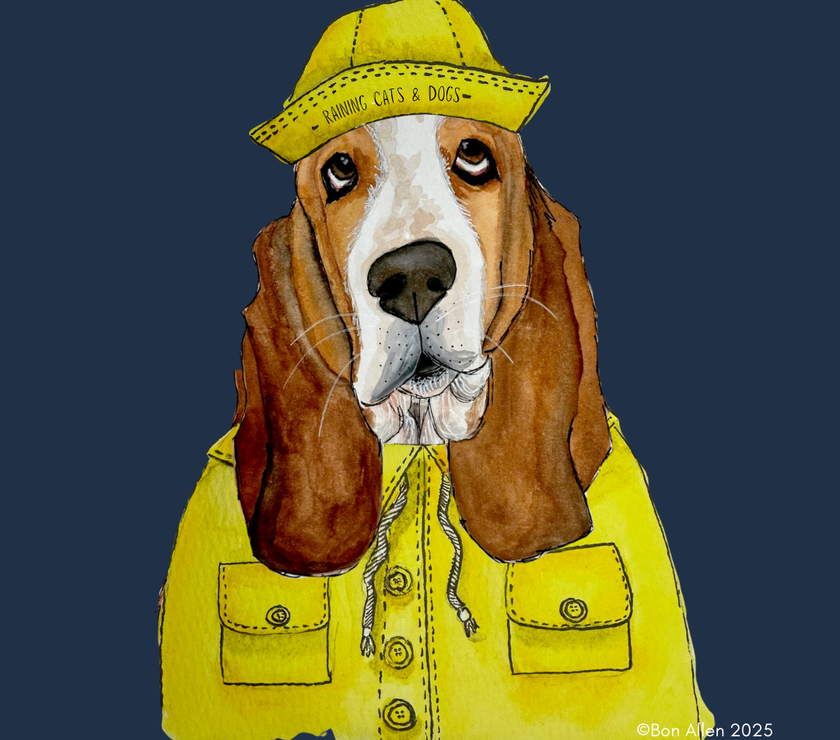 Rain or Shine, Basset Hound’s Got You Covered – High-End Golf Umbrella