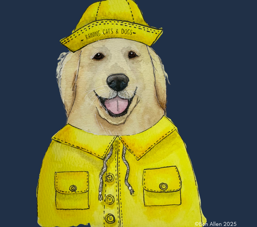 Stay Dry, Stay Golden – The Ultimate Retriever Umbrella