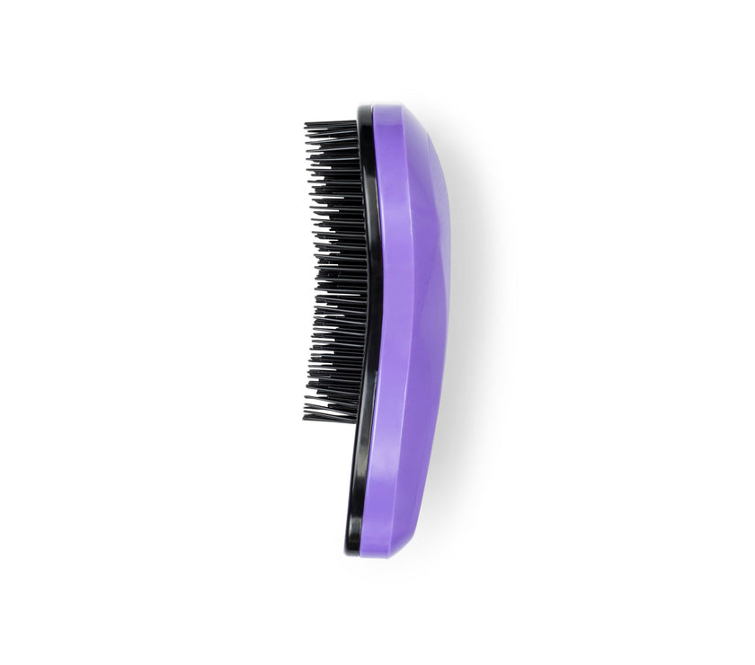Rawr Detangling Hair Brush - Purple
