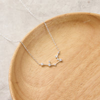 Aquarius Star Sign Zodiac Constellation Necklace and Quote Card with Zircondia® Crystals