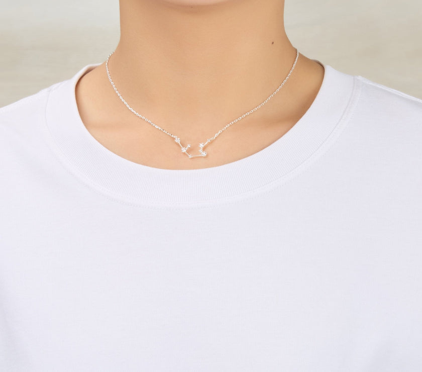 Aquarius Star Sign Zodiac Constellation Necklace and Quote Card with Zircondia® Crystals