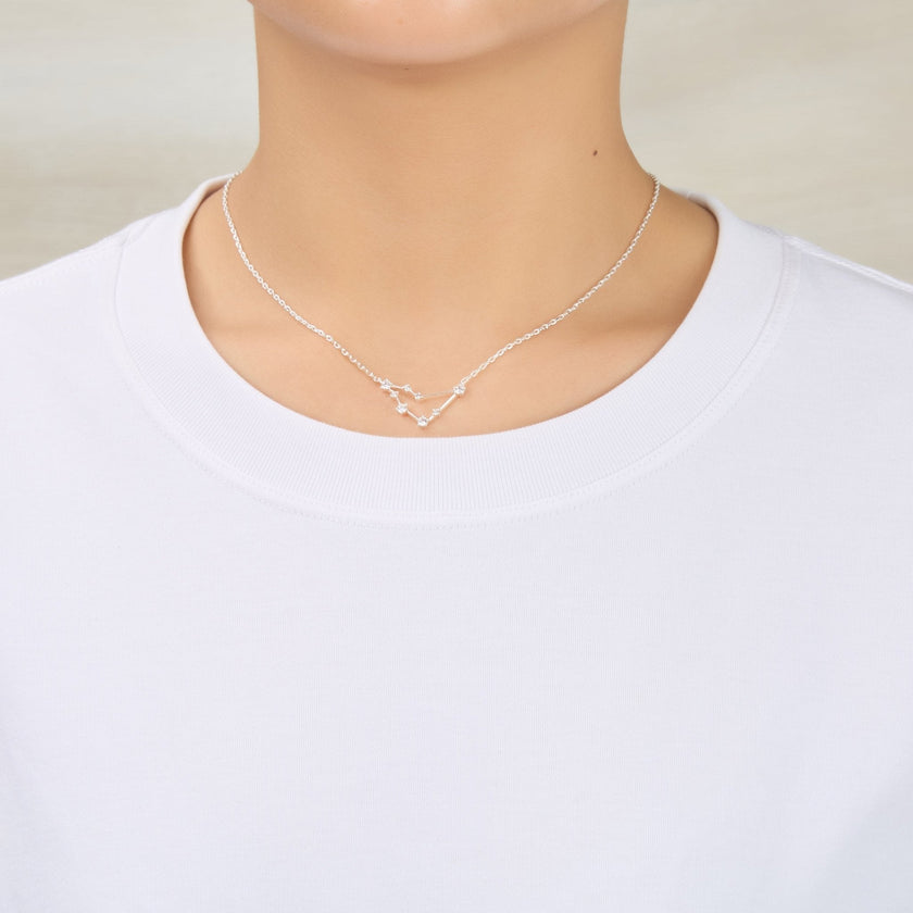 Capricorn Star Sign Zodiac Constellation Necklace and Quote Card with Zircondia® Crystals