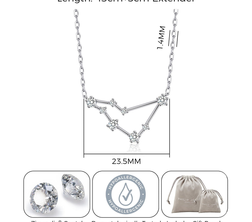 Capricorn Star Sign Zodiac Constellation Necklace and Quote Card with Zircondia® Crystals