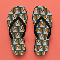 Pawse & Strut: Royal Flip Flops for Fancy Feet & Fluff Lovers