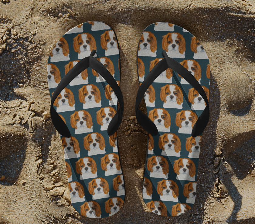 Pawse & Strut: Royal Flip Flops for Fancy Feet & Fluff Lovers