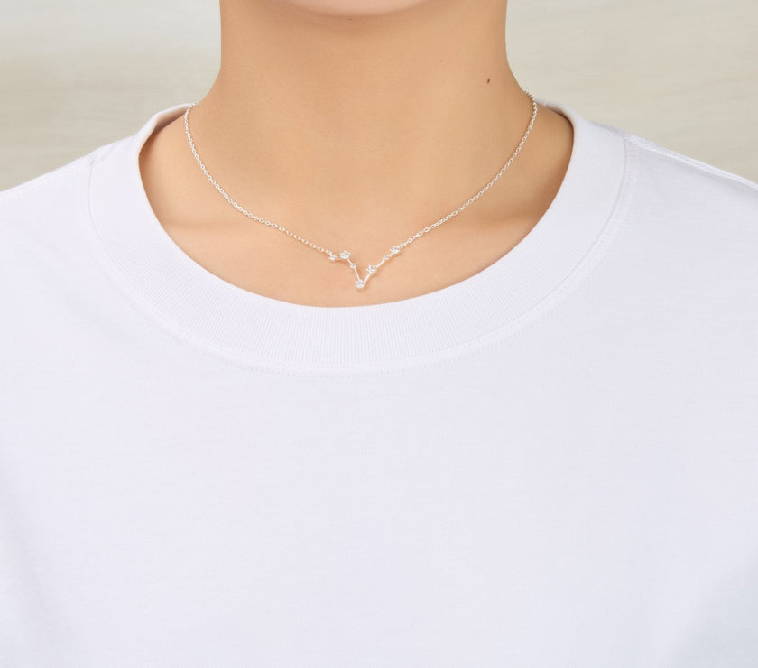 Pisces Star Sign Zodiac Constellation Necklace and Quote Card with Zircondia® Crystals