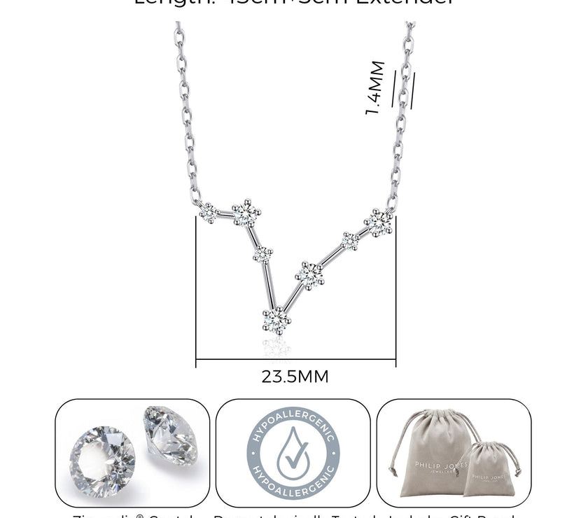 Pisces Star Sign Zodiac Constellation Necklace and Quote Card with Zircondia® Crystals